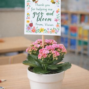 May include: A potted plant with pink flowers and a sign that reads "Thank you for helping me grow and bloom From, Vivian." The sign is decorated with bees, flowers, and a ladybug. The plant is in a white pot.