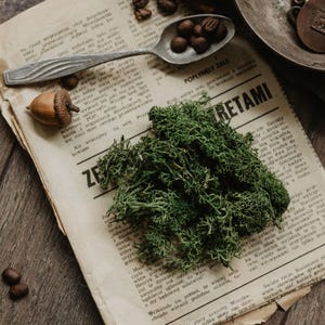Add-on -> Riempimento di muschio verde naturale per tutti i tipi di scatole fotografiche