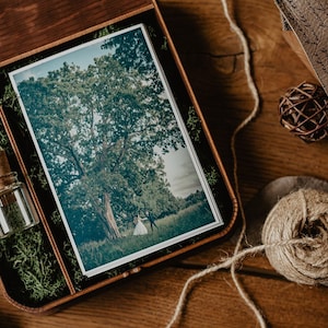 May include: A wooden box with a green moss lining, containing a printed photograph of a couple standing under a large tree, and a small glass bottle with a cork stopper.