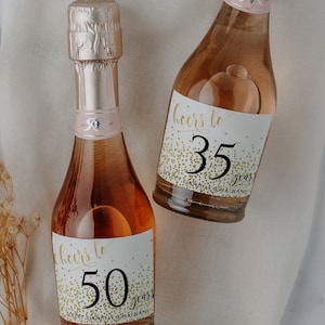 誕生日ミニシャンパンラベル、カスタムワインボトルラベル、60歳の誕生日、50歳、40歳、21歳 - あらゆる年齢、即時ダウンロード