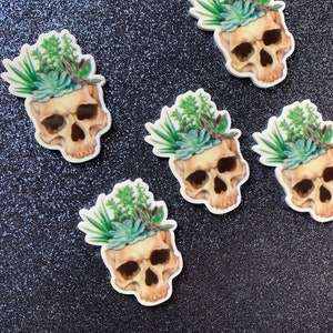 5pc. Cactus vert, succulents dans mon esprit. Crânes, Mexique, Désert, Boho, So Kawaii! Résine Planar Flatback, Cabochon, Bow Center, Flat Back
