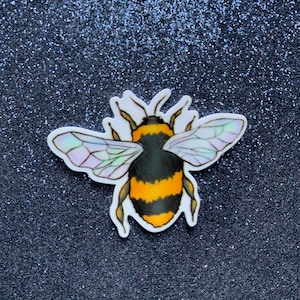 5pc. Queen Bee, Resin Planar Flatbacks, Cabochon, Princess, Bees