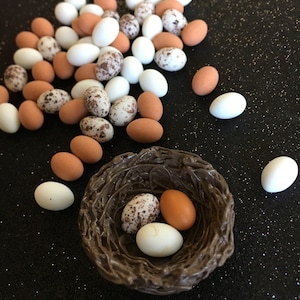 May include: A brown woven bird's nest with three eggs inside. Two of the eggs are brown and one is white. The nest is surrounded by a variety of brown, white, and speckled eggs on a black background.