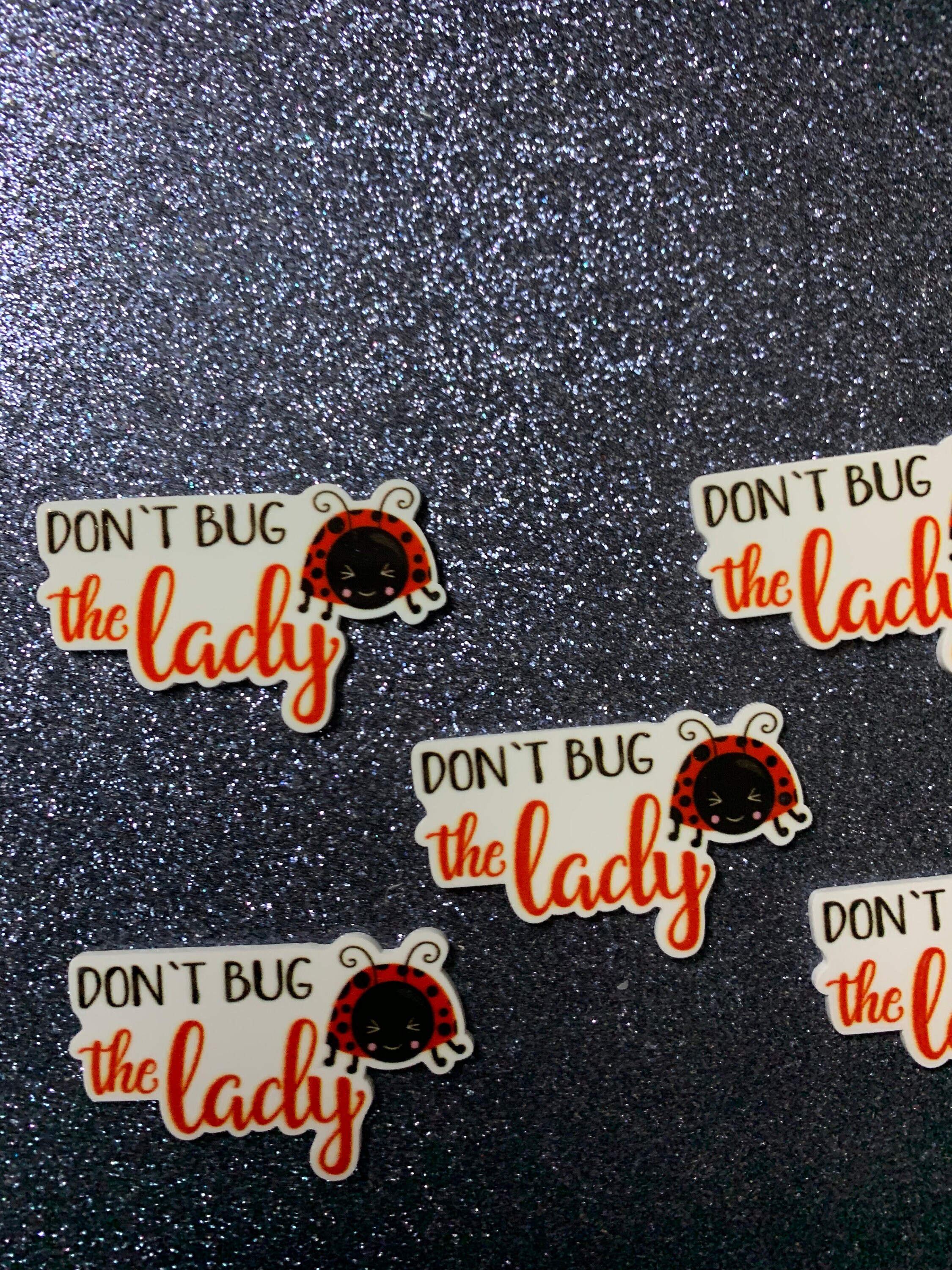Hug Ladybug Insect 5pc. Don't Bug the Ladybug Ladybug Hugs Lady Bug Planar | Etsy