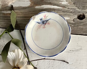 Antique 1920s Blue Bird Butter Pat Plate China Pink Roses French Farmhouse Cottage Style Kitchen Dining Room Serving Decor Shabby Chic each