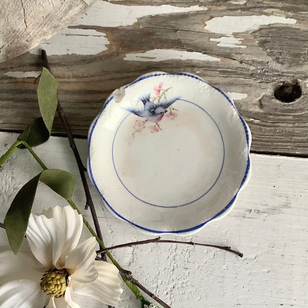 Antique 1920s Blue Bird Butter Pat Plate China Pink Roses French Farmhouse Cottage Style Kitchen Dining Room Serving Decor Shabby Chic each