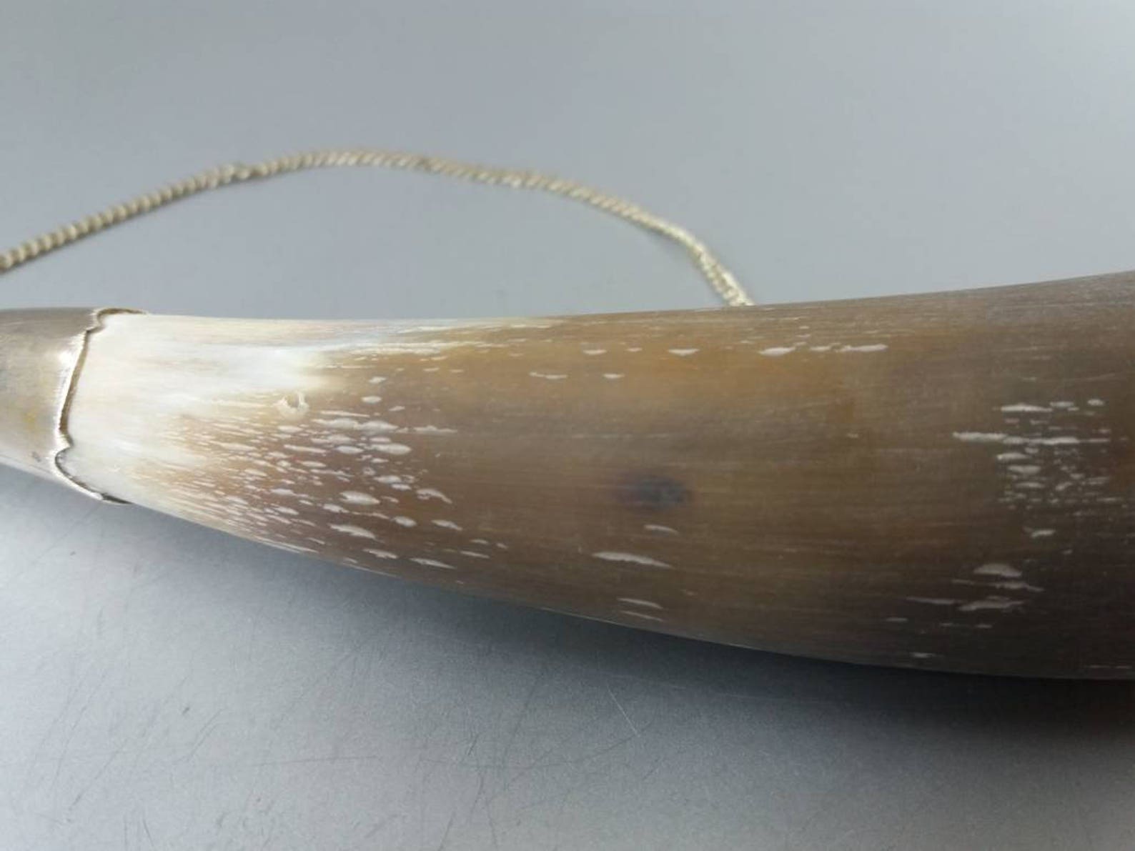 Wine Drinking Horn Souvenir Horn Vintage Drinking Horn Vintage Etsy