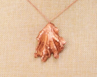 Real Turkey Tail Shelf Mushroom Copper Necklace