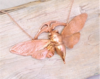 Real Cicada on Art Nouveau Design, Extra Large, Copper Necklace, Electroformed -S31- Handmade Nature Inspired Jewelry