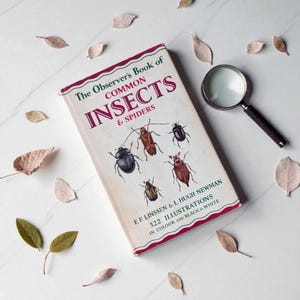 May include: A vintage book titled "The Observer's Book of Common Insects & Spiders" with illustrations of various insects. A magnifying glass and decorative leaves are placed around the book on a white surface.