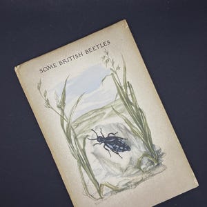 King Penguin Book of Some British Beetles