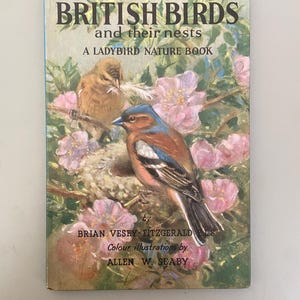 Ladybird Nature Book – A Second Book of British Birds and Their Nests – Illustrated by Allen W. Seaby – Vintage Ladybird Series