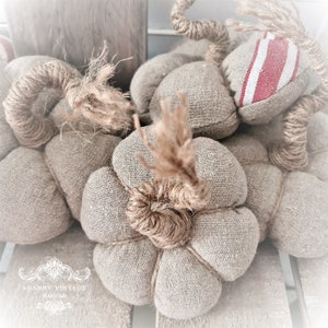 Può includere: Un set di quattro zucche decorative realizzate in tessuto di juta con un dettaglio in spago rustico. Le zucche sono beige e hanno un'estetica rustica e da fattoria.