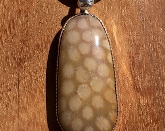 African Fossil Coral Cabochon Set in Fine Silver