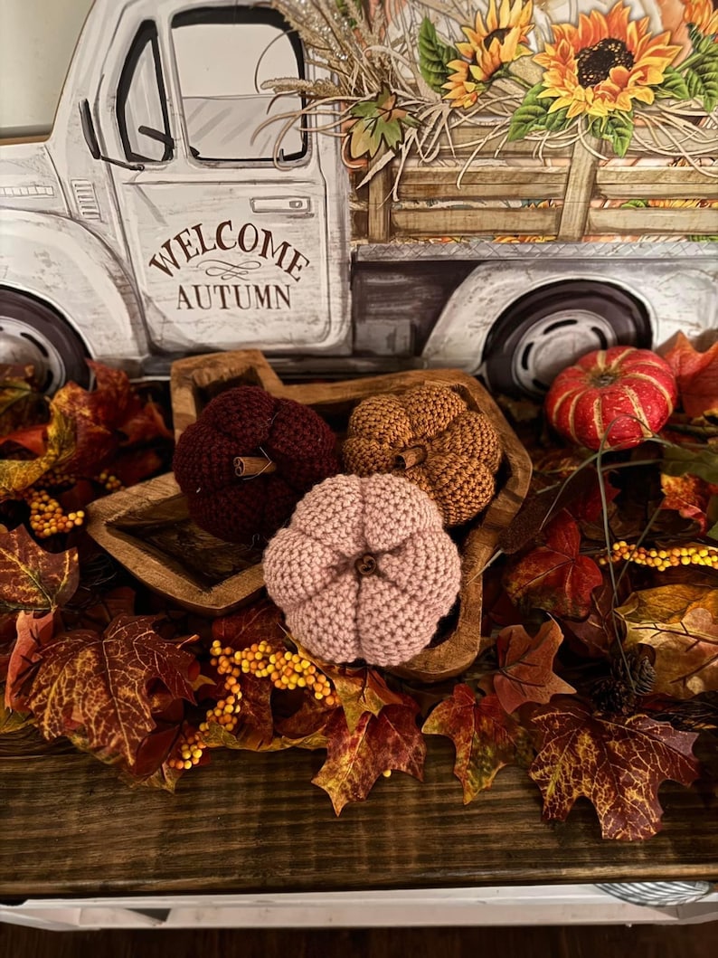 May include: Three crocheted pumpkins in a wooden bowl with fall leaves and berries. The pumpkins are pink, brown, and orange. The bowl is shaped like a star. The text "Welcome Autumn" is on a white truck in the background.