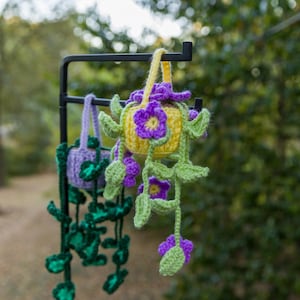 Crochet Hanging Potted Plant