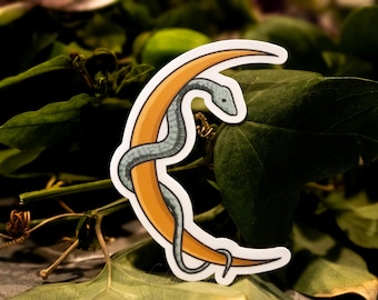 Luna creciente con serpiente - Adhesivo de vinilo resistente al agua