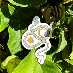 Celestial Snake - Waterproof vinyl sticker/decal
