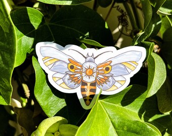Calcomanía/pegatina de vinilo impermeable Celestial Moth