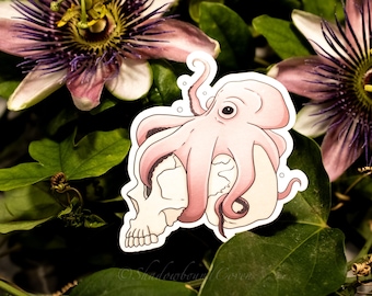 Pulpo rosa sosteniendo una calavera - Adhesivo de vinilo resistente al agua