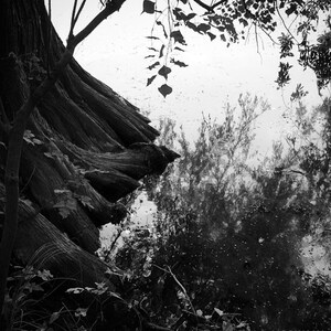 Black and white printable wall art nature lake &quot;DEEPER&quot;