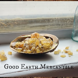 May include: A close-up of a seashell filled with golden yellow frankincense resin. The resin is in a pile in the center of the shell. The shell is on a white surface. The text "GOOD EARTH MERCANTILE" is visible below the shell.