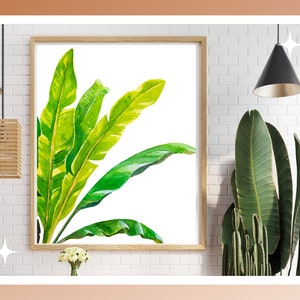 Banana Tree Print | Watercolor Banana Tree Leaf |