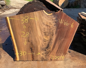 Losa de borde vivo de NOGAL NEGRO de 28" x 30-38" x 2,25" Perfecta para mesa de café o barra