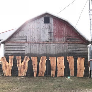 Pu&ograve; includere: Otto tavole di legno a bordo naturale con forme e venature varie, esposte davanti a un fienile usurato. Il legno &egrave; marrone chiaro. Il fienile ha un tetto rosso. Le tavole saranno probabilmente utilizzate per mobili o decorazioni.