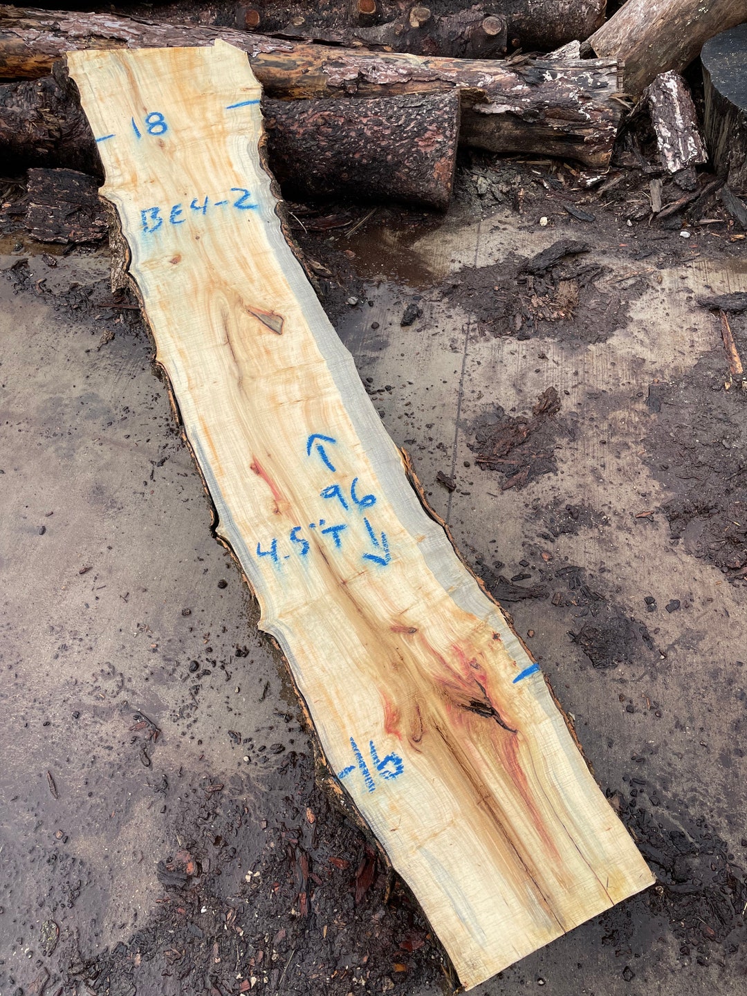 Unique Flamed Box Elder Mantle 96 X 1618 X Etsy