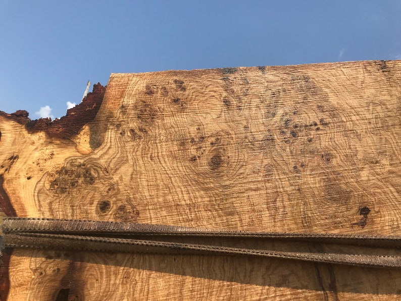 Perfect for Dining Table or Island 300-400 year old LIVE EDGE OAK covered in Burls 106 x 40-48 x 3