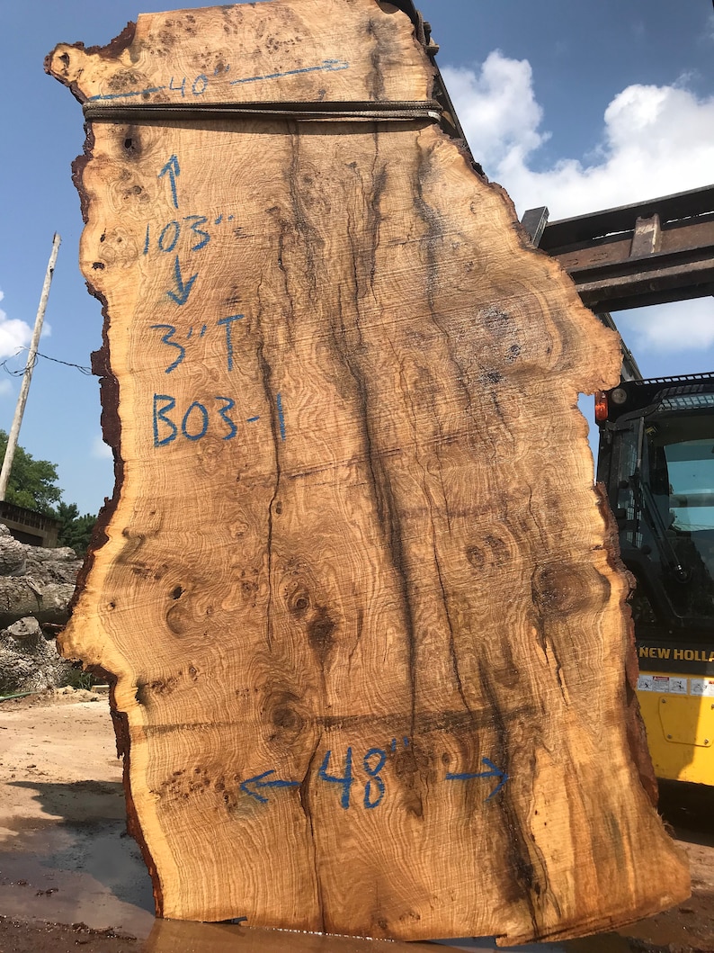 Perfect for Dining Table or Island 300-400 year old LIVE EDGE OAK covered in Burls 106 x 40-48 x 3
