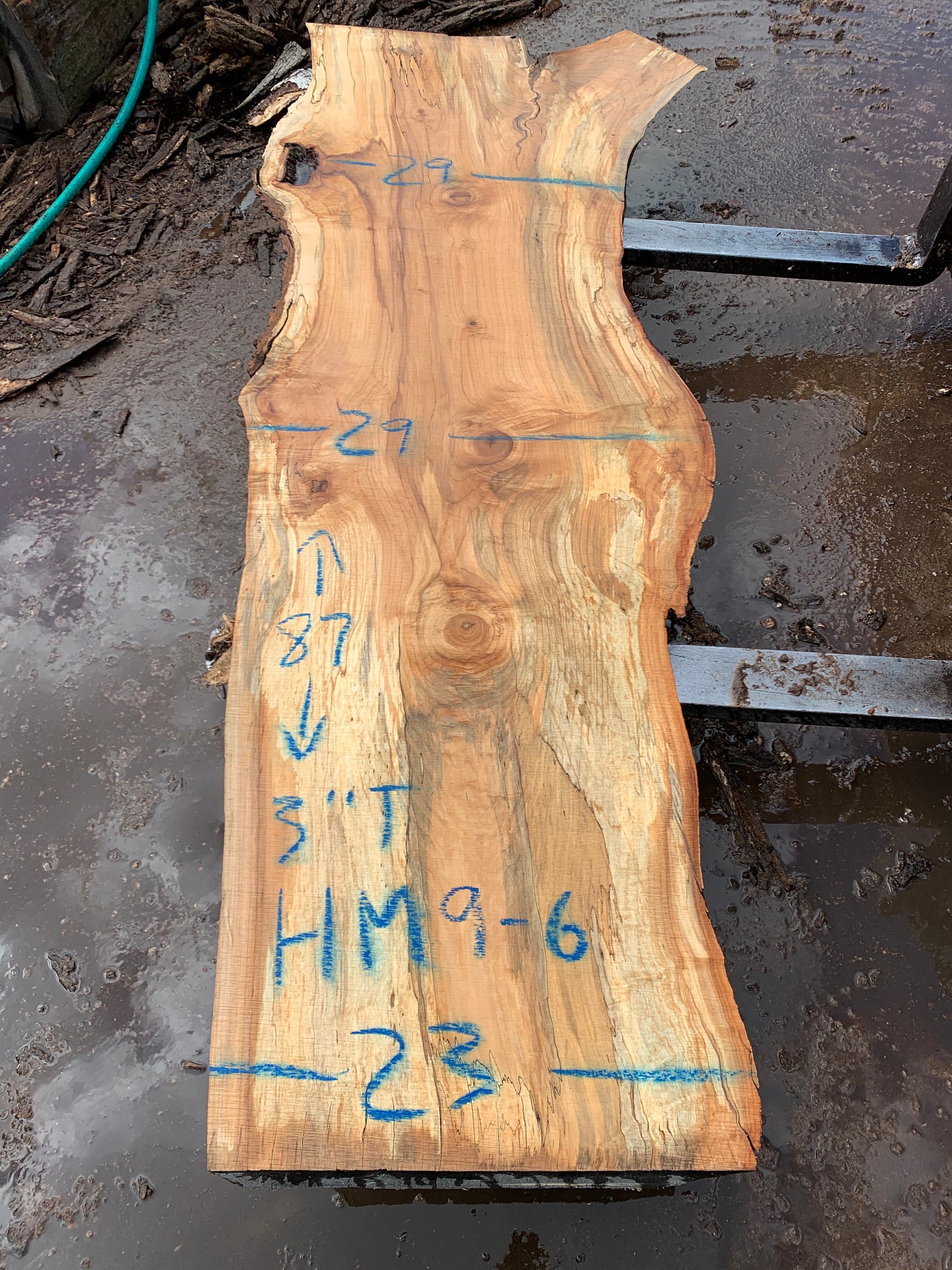 HARD Maple Live Edge Slab 87 X 2329 X 3 Etsy UK