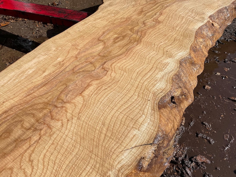 May include: A light-colored, unfinished wood slab with a natural edge. The wood grain is visible, with wavy lines and variations in color. The slab appears to be freshly cut and ready for use in woodworking projects.