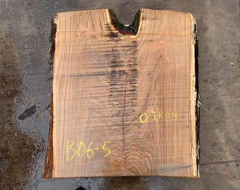 Free ship*Huge OAK twin Crosscut slab with gorgeous figuring! 44" x 37-42" x 3" Would make for a unique coffee table!