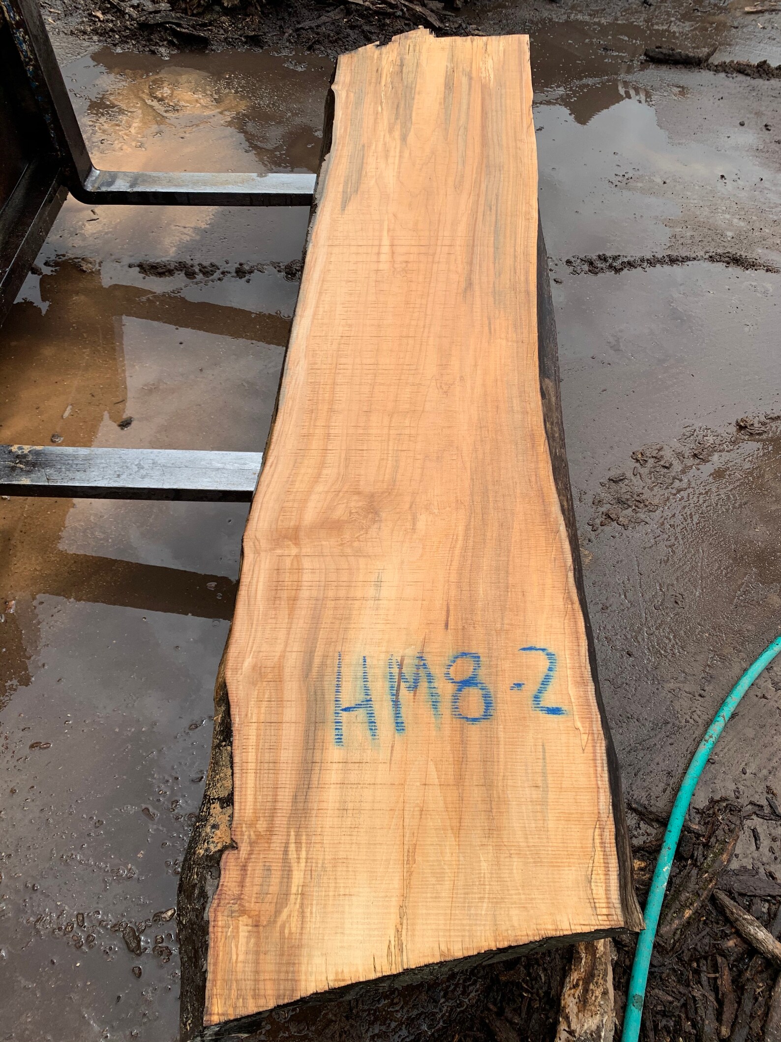 Beautiful Hard Maple Live Edge Slab 103 X 24 X 2.75 Etsy