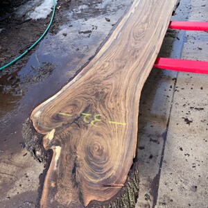 May include: A large slab of wood with a beautiful grain pattern. The wood is dark brown with lighter brown streaks. The slab is resting on a red metal stand. The wood is approximately 96 inches long and 25 inches wide.