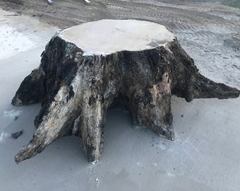 Reclaimed Live Edge Burr Oak Stump