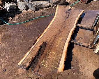 Large Live Edge Black Walnut Slab 142" x 32-50" x 3", beautiful character and perfect for bar top or table!