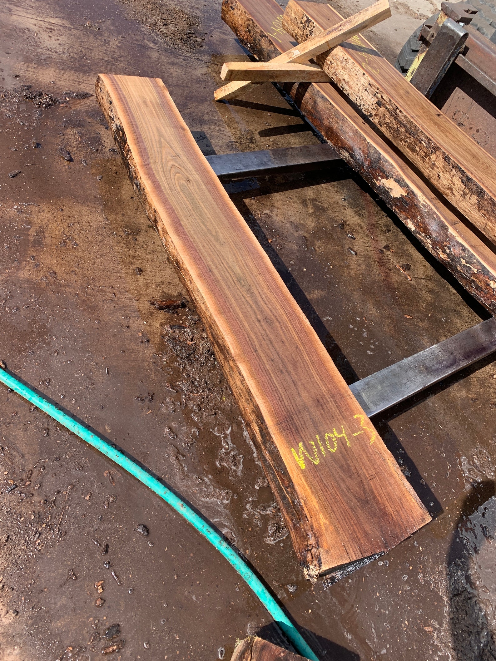 MANTEL Live Edge Black Walnut Slab Cut Thick 65 X Etsy