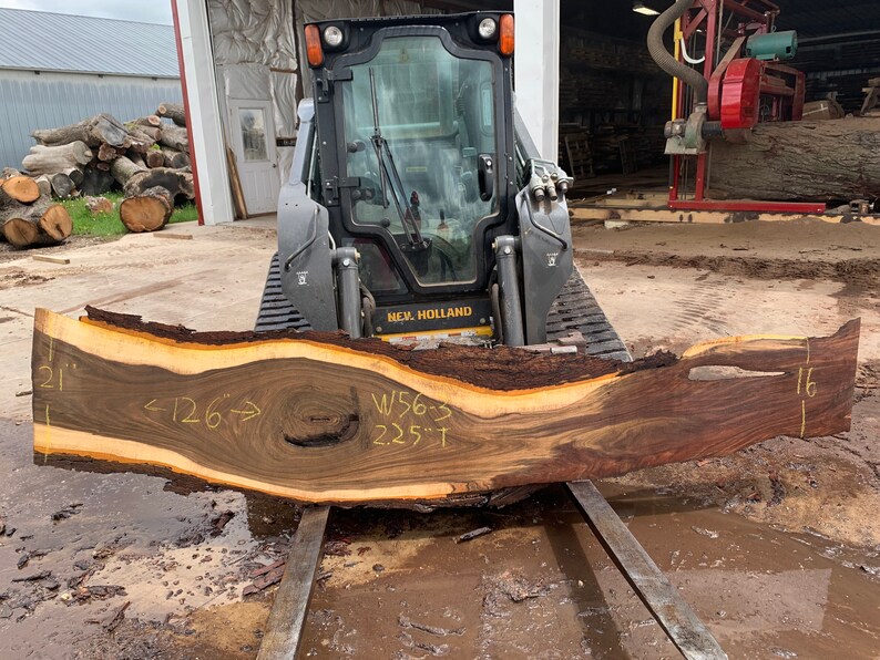 May include: A large, dark brown wood slab with a natural edge. The slab is 126 inches long, 21 inches wide, and 2.25 inches thick. The slab is resting on a metal frame and is being lifted by a small, black skid steer loader. The slab has a natural, live edge and a beautiful grain pattern.