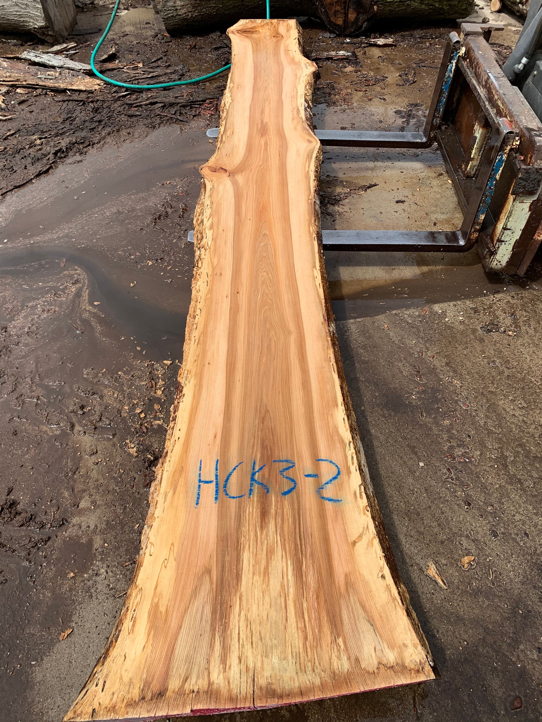 HICKORY Live Edge Slab 168 X 2030 X 2.75 Etsy