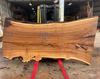 MASSIVE Slab with Burls!, Siberian Elm 126" x 53-66" x 3", Incredible Figuring & Live Edge