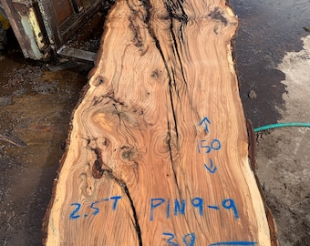 Large Oak Slab! 150" x 38-42" x 2.5" Perfect for River Table!