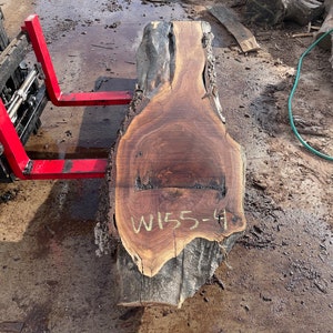 Puede incluir: Una gran losa de madera con un borde natural y un color marr&oacute;n. La madera tiene un patr&oacute;n de veta &uacute;nico y un centro marr&oacute;n oscuro. La losa est&aacute; marcada con el n&uacute;mero "W155-4".