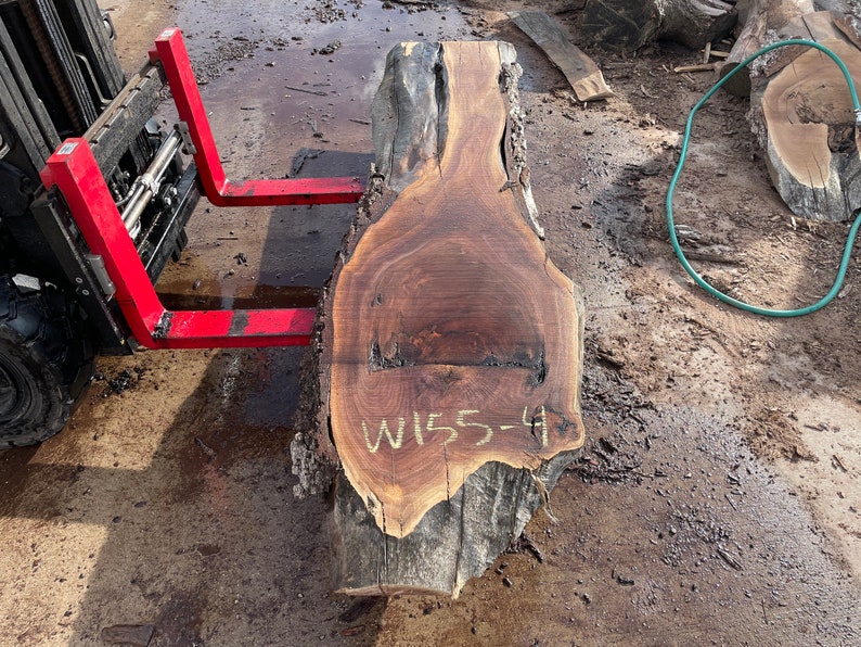 Puede incluir: Una gran losa de madera con un borde natural y un color marr&oacute;n. La madera tiene un patr&oacute;n de veta &uacute;nico y un centro marr&oacute;n oscuro. La losa est&aacute; marcada con el n&uacute;mero "W155-4".