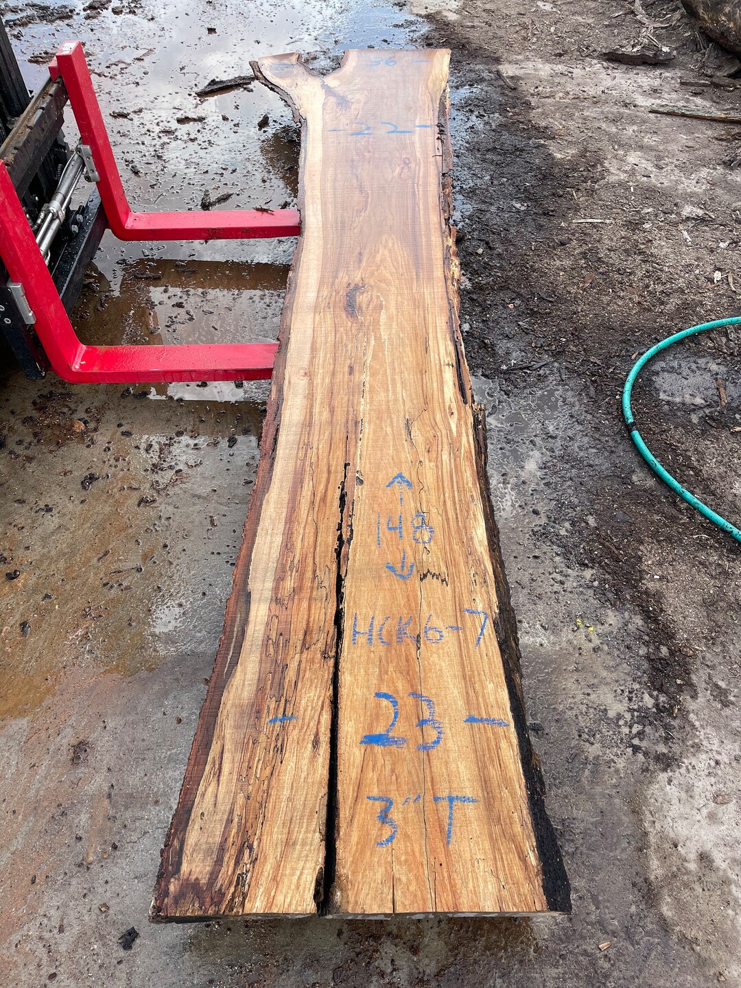 Straight Rustic Hickory Live Edge Slab 148 X 2223 X 3 Perfect for Bar