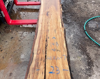 Straight Rustic Hickory Live Edge Slab 148" x 22-23" x 3" Perfect for BAr top or table!