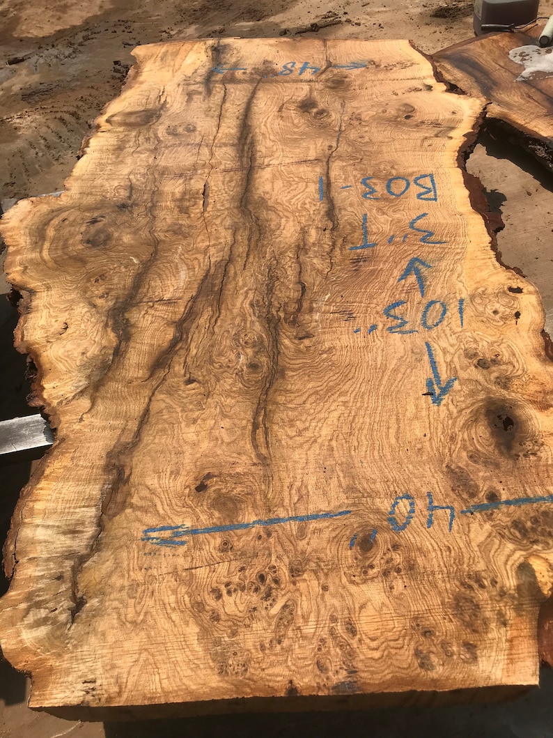 Perfect for Dining Table or Island 300-400 year old LIVE EDGE OAK covered in Burls 106 x 40-48 x 3