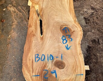 ¡Losa de borde vivo de Burr Oak! 83" x 29-33" x 2.5" ¡Perfecto para la parte superior de la mesa!